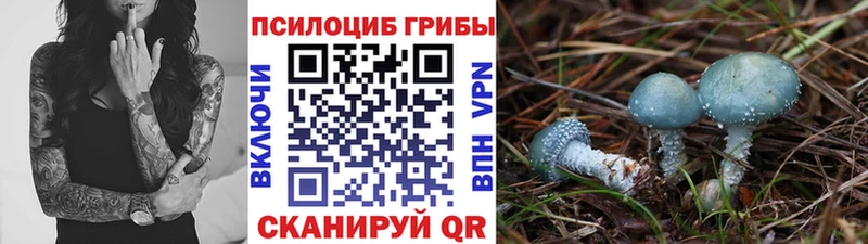 Купить закладки Курчатов Псилоцибиновые грибы ЛСД